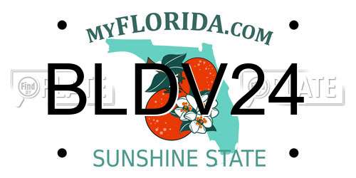 BLDV24 Florida License Plate