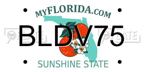 BLDV75 Florida License Plate