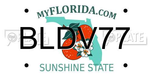 BLDV77 Florida License Plate