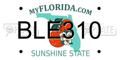 BLE310 Florida License Plate