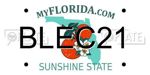 BLEC21 Florida License Plate