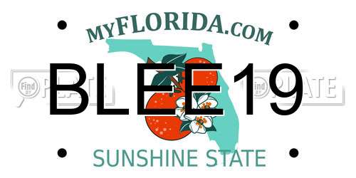 BLEE19 Florida License Plate