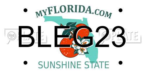 BLEG23 Florida License Plate