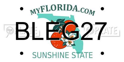 BLEG27 Florida License Plate
