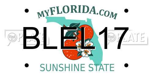 BLEL17 Florida License Plate