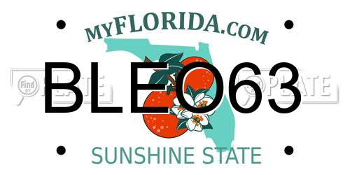 BLEO63 Florida License Plate