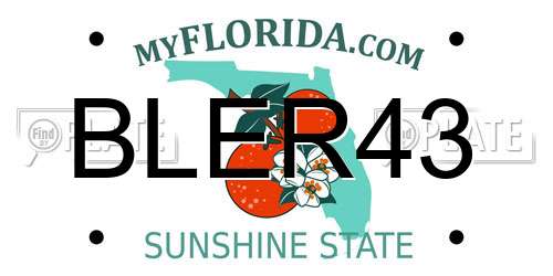 BLER43 Florida License Plate