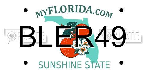 BLER49 Florida License Plate