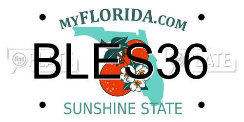 BLES36 Florida License Plate