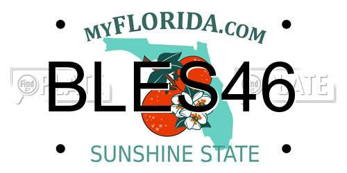 BLES46 Florida License Plate