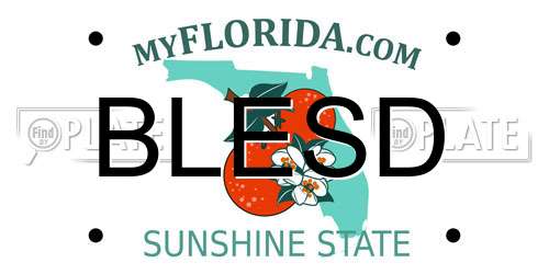 BLESD Florida License Plate