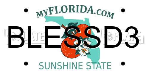 BLESSD3 Florida License Plate