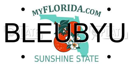 BLEUBYU Florida License Plate