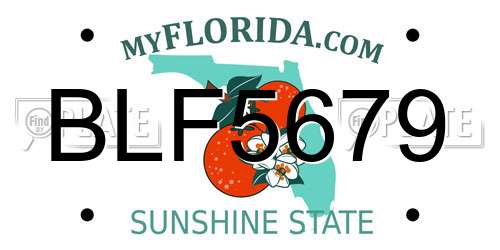 BLF5679 Florida License Plate