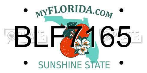 BLF7165 Florida License Plate
