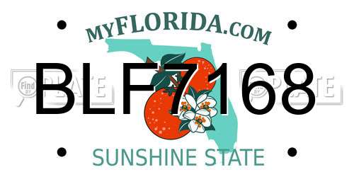 BLF7168 Florida License Plate