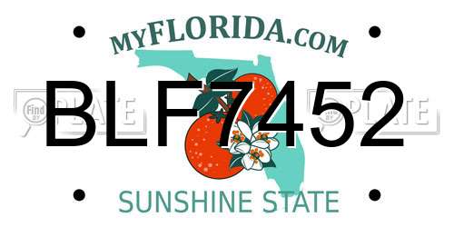 BLF7452 Florida License Plate
