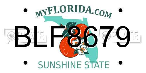 BLF8679 Florida License Plate