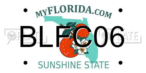 BLFC06 Florida License Plate