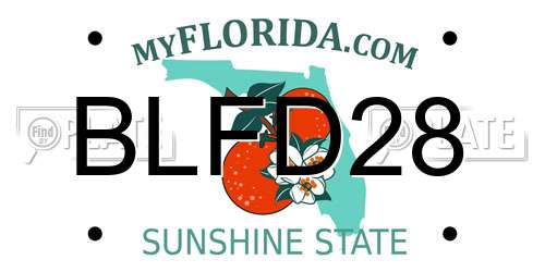 BLFD28 Florida License Plate