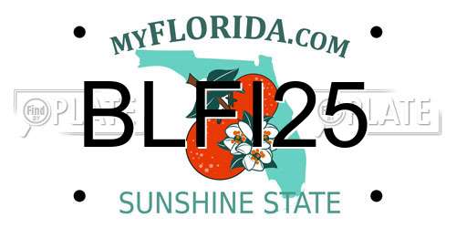 BLFI25 Florida License Plate