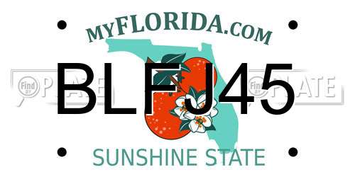 BLFJ45 Florida License Plate