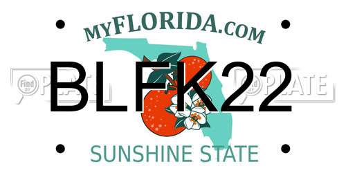 BLFK22 Florida License Plate