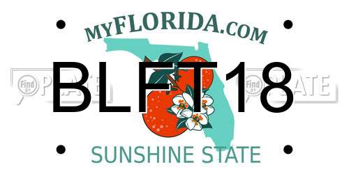 BLFT18 Florida License Plate