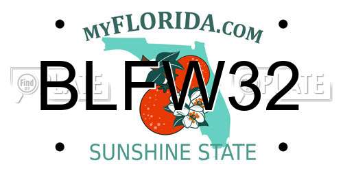 BLFW32 Florida License Plate
