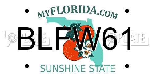 BLFW61 Florida License Plate