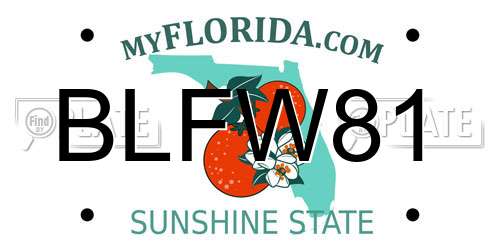 BLFW81 Florida License Plate
