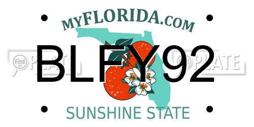BLFY92 Florida License Plate