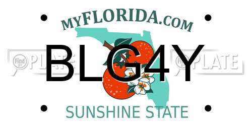BLG4Y Florida License Plate