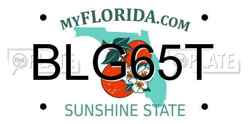 BLG65T Florida License Plate