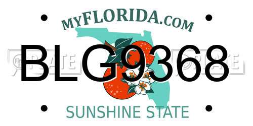 BLG9368 Florida License Plate