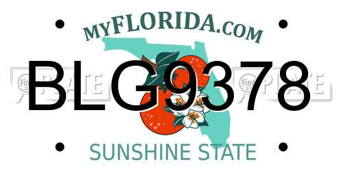 BLG9378 Florida License Plate
