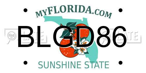 BLGD86 Florida License Plate