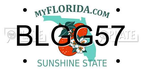BLGG57 Florida License Plate