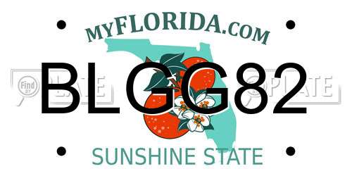 BLGG82 Florida License Plate