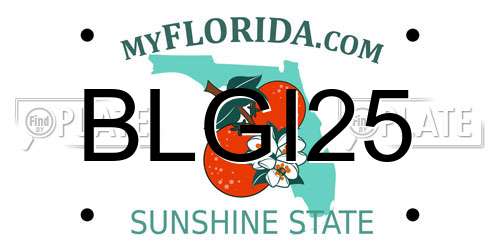 BLGI25 Florida License Plate