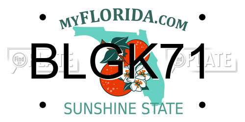 BLGK71 Florida License Plate