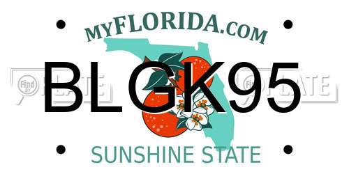 BLGK95 Florida License Plate