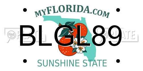 BLGL89 Florida License Plate