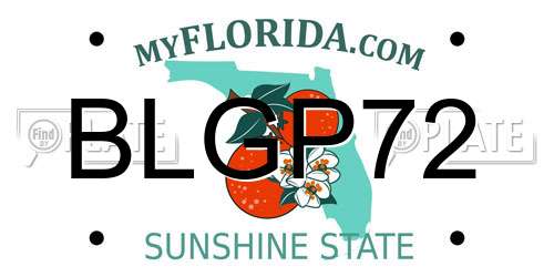 BLGP72 Florida License Plate