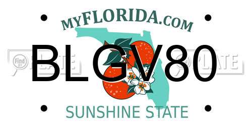 BLGV80 Florida License Plate