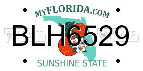 BLH6529 Florida License Plate