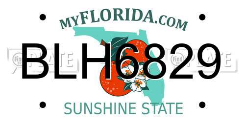 BLH6829 Florida License Plate