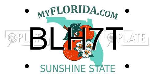 BLH7T Florida License Plate