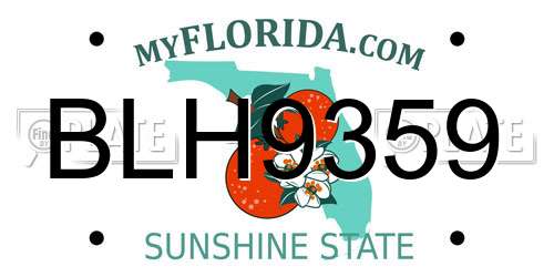 BLH9359 Florida License Plate