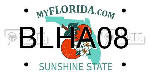 BLHA08 Florida License Plate
